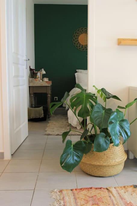 Cosy Appartement Entre Vignes Et Garrigue Avec Piscine Péret Екстериор снимка